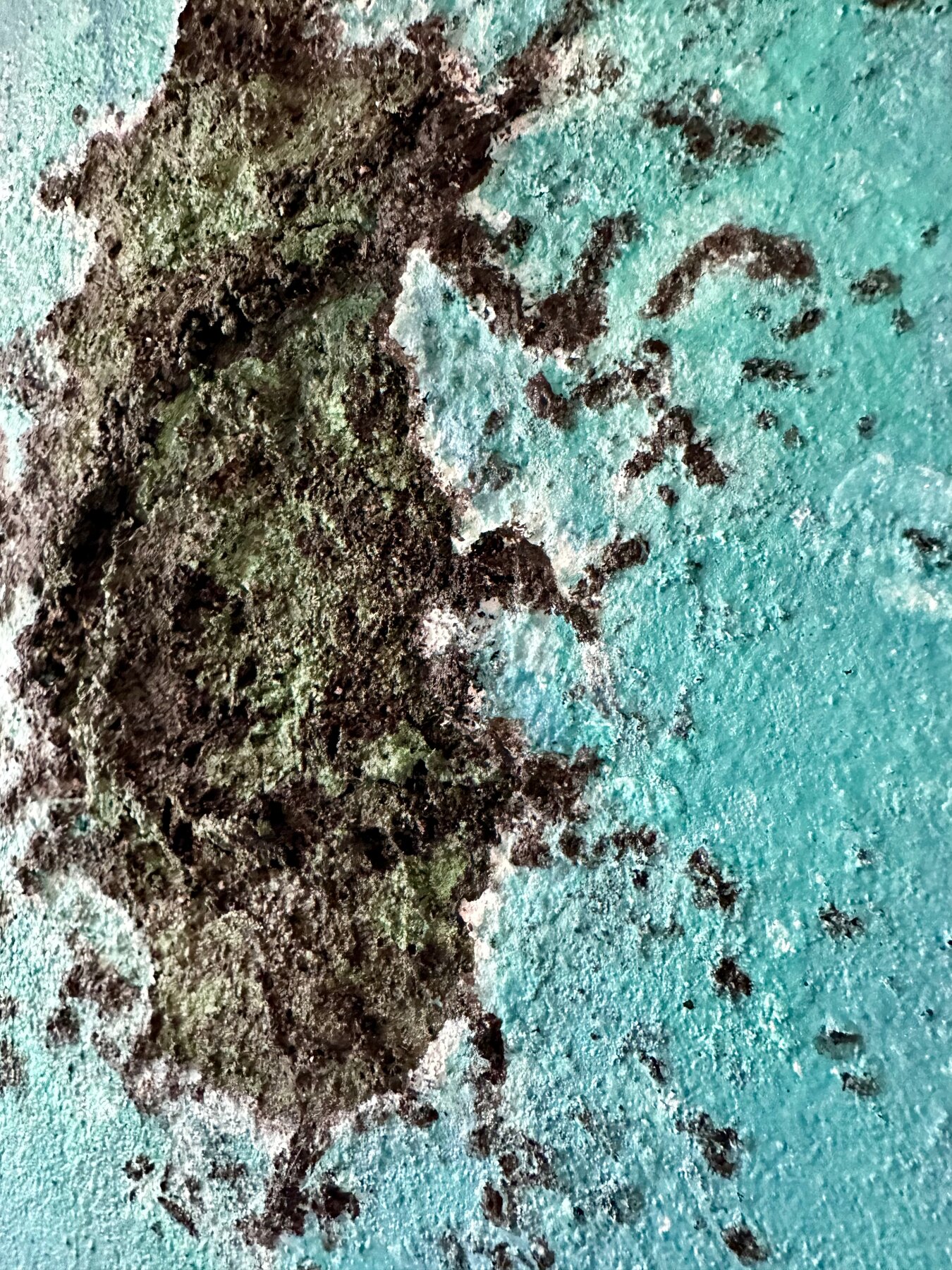 Turquoise Shore by Danielle Eze