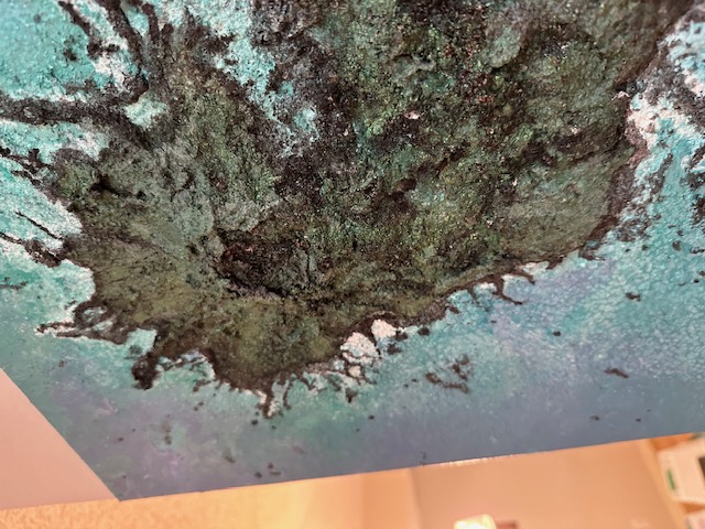 Close-up of a dark burst blooming across a teal painted surface